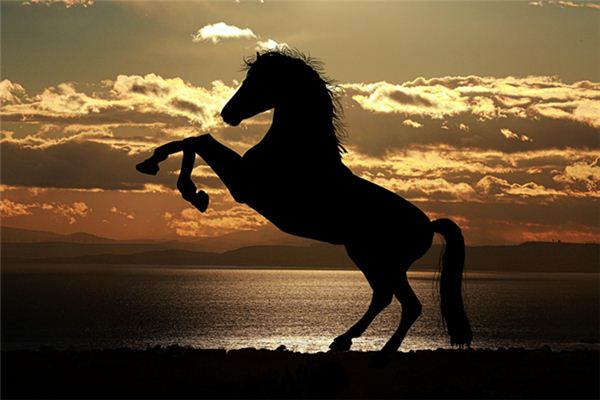 Il significato spirituale di sognare di cavalcare un grosso cavallo nero
