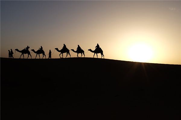 Il significato di sognare di cavalcare un cammello