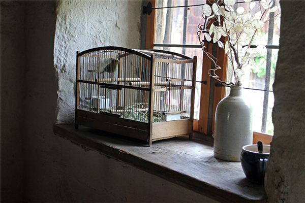 Il significato di sognare un uccello in una gabbia