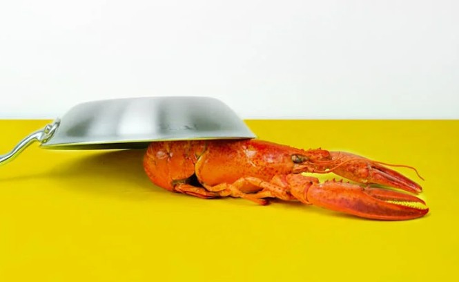 Sognare l'Aragosta
