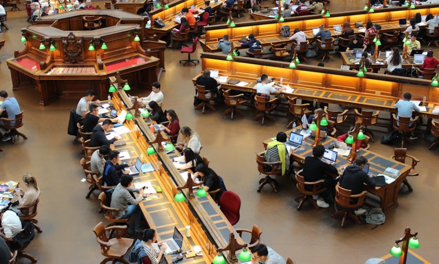 Sognare di studiare all'estero