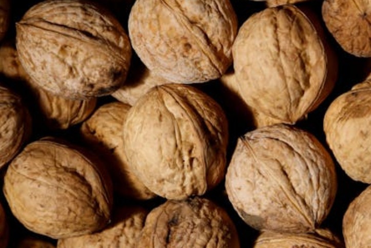 40 significati spirituali di sognare noci