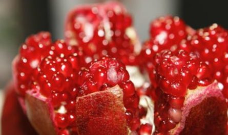 Sogna il melograno : 32 Significato e simbolismo