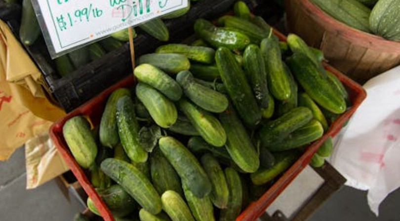 Sognare cetrioli : 29 scenari e interpretazioni