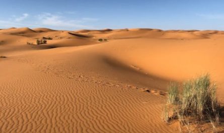 Sogna il deserto : 38 scenari e interpretazioni