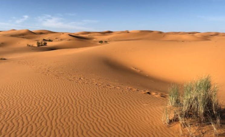 Sogna il deserto : 38 scenari e interpretazioni