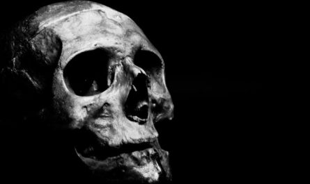 Sognare ossa : 37 scenari e interpretazioni