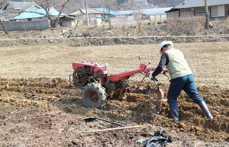 Sognare una cascina : 9 scenari e interpretazioni