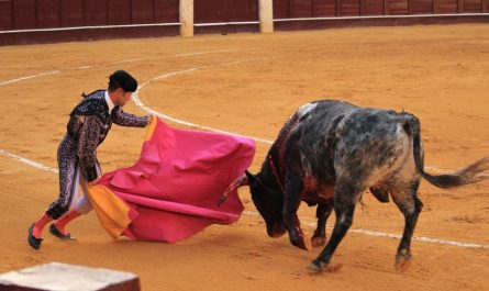 Sognare tori : 21 scenari e interpretazioni