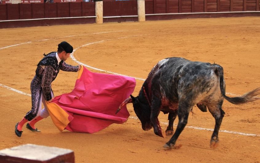 Sognare tori : 21 scenari e interpretazioni