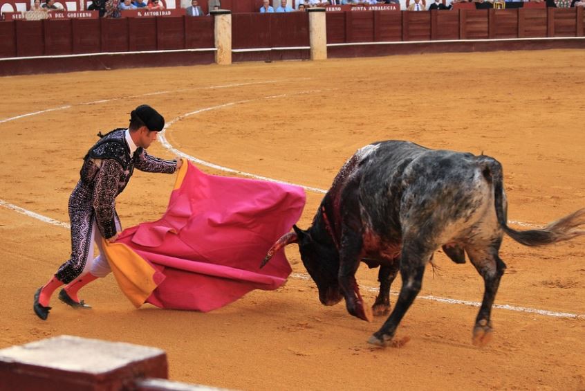 Sognare tori : 21 scenari e interpretazioni