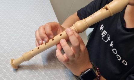 Sognare un flauto dolce : 7 scenari e interpretazioni