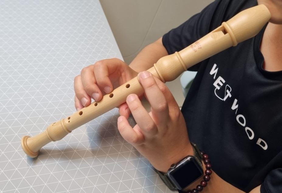 Sognare un flauto dolce : 7 scenari e interpretazioni