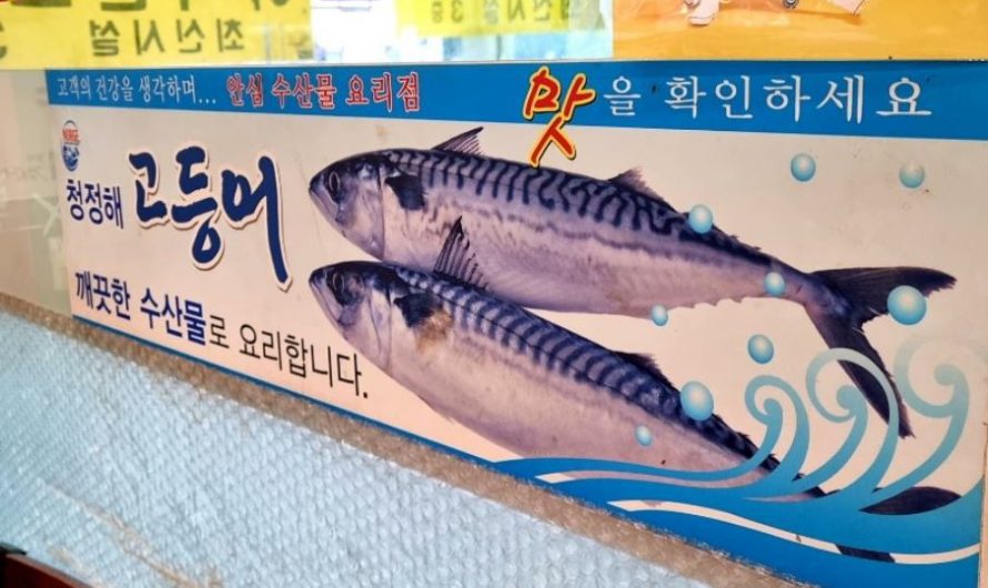 Sognare lo sgombro : 10 scenari e interpretazioni