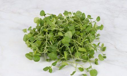 sognare il ravanello : 12 scenari e interpretazioni