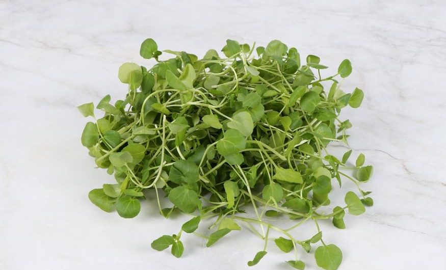 Sognare il ravanello : 12 scenari e interpretazioni