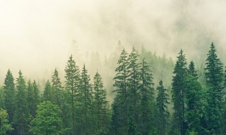 Sognare la nebbia : 10 scenari e interpretazioni