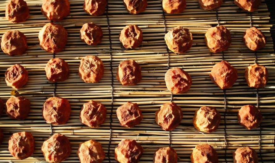 Sognare cachi : 10 scenari e interpretazioni