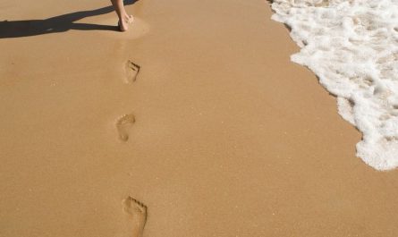 Sognare impronte : 8 scenari e interpretazioni