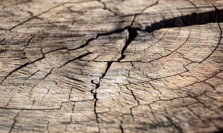 Sognare crepe : 8 scenari e interpretazioni