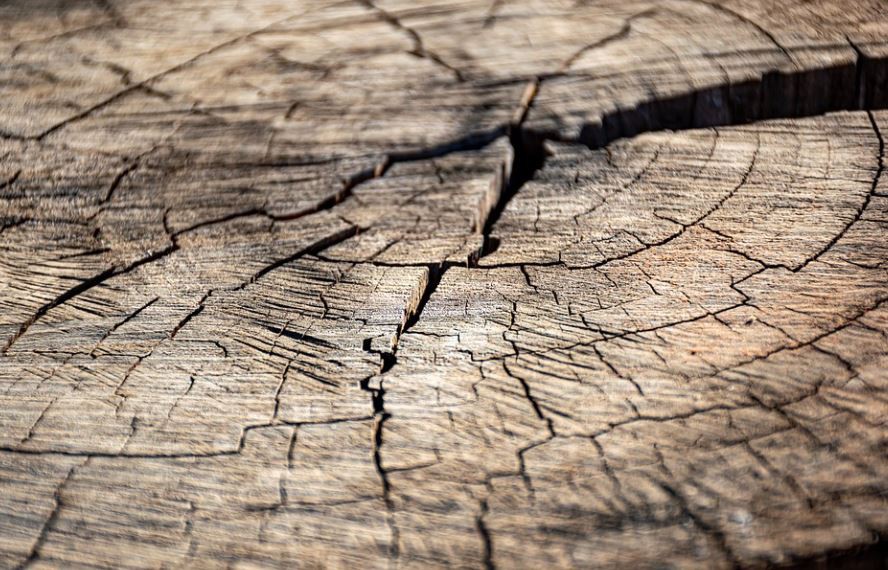 Sognare crepe : 8 scenari e interpretazioni