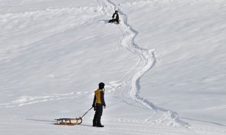 Sognare una slitta : 11 scenari e interpretazioni