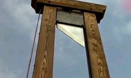 Sognare un'esecuzione : 37 scenari e interpretazioni