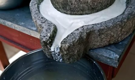 Sognando di fare il tofu : 19 scenari e interpretazioni