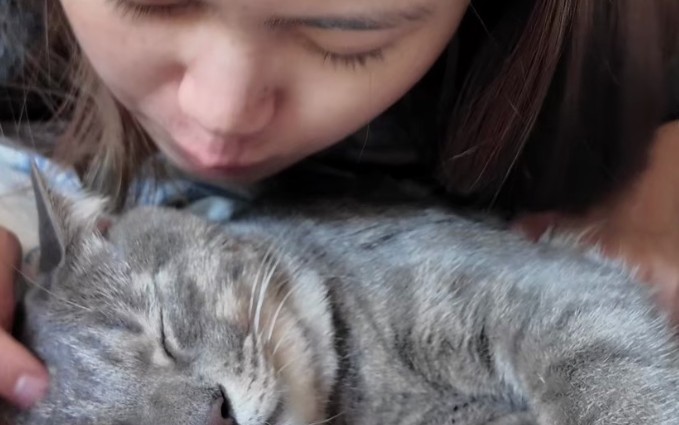 Sognare di crescere un gatto : 5 scenari e interpretazioni