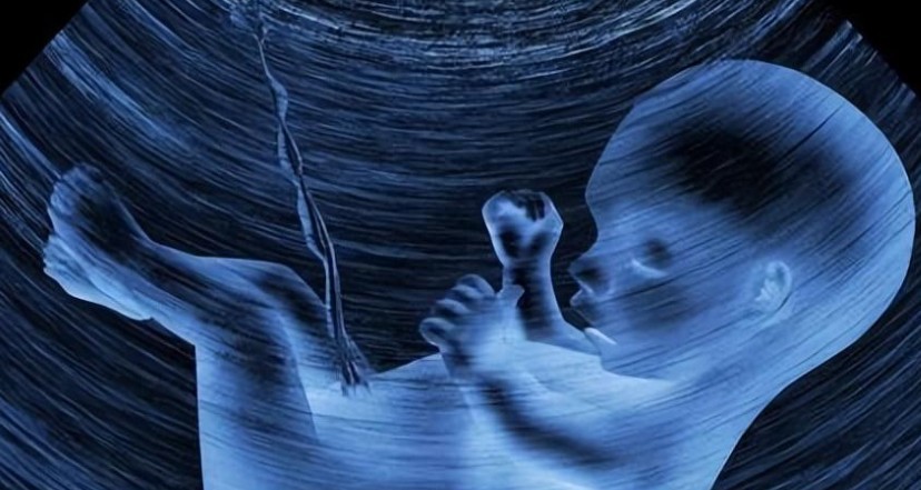 Sognare qualcun altro che rimane incinta : 18 scenari e interpretazioni