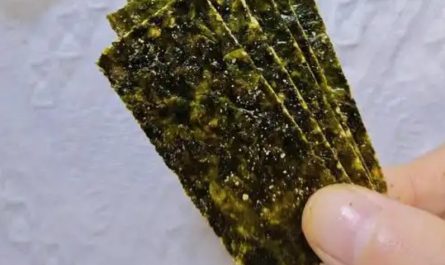 Sognare di mangiare alghe : 7 scenari e interpretazioni