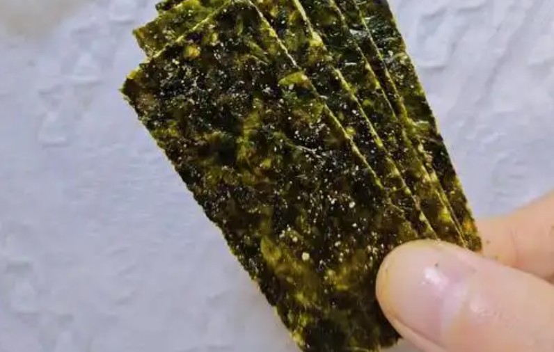 Sognare di mangiare alghe : 7 scenari e interpretazioni