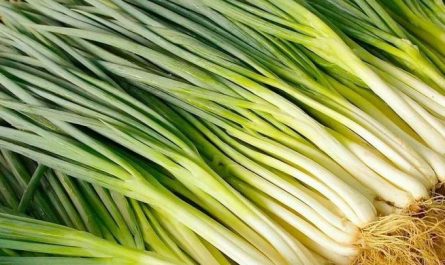 Sognare cipollotti : 15 scenari e interpretazioni