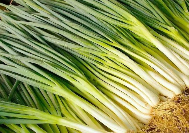 Sognare cipollotti : 15 scenari e interpretazioni