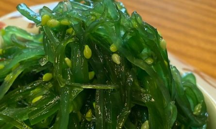 Sognare alghe marine : 10 scenari e interpretazioni