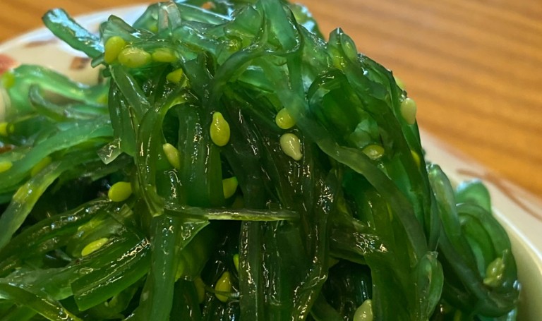 Sognare alghe marine : 10 scenari e interpretazioni