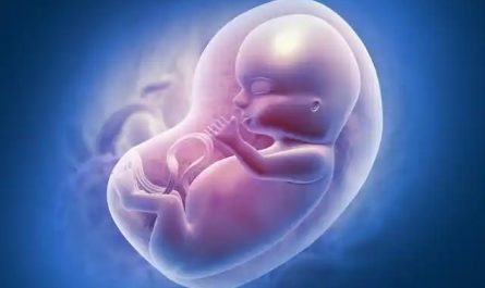 Sognare un aborto : 16 scenari e interpretazioni