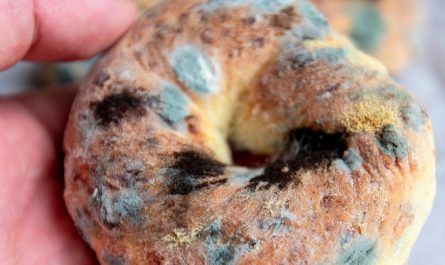 Sognare la muffa : 19 scenari e interpretazioni