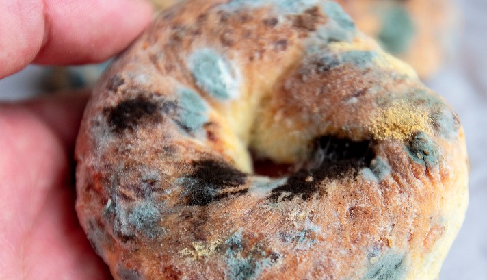 Sognare la muffa : 19 scenari e interpretazioni