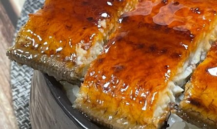 Sognare anguille : 17 scenari e interpretazioni