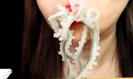 Sognare di mangiare un polpo : 15 scenari e interpretazioni