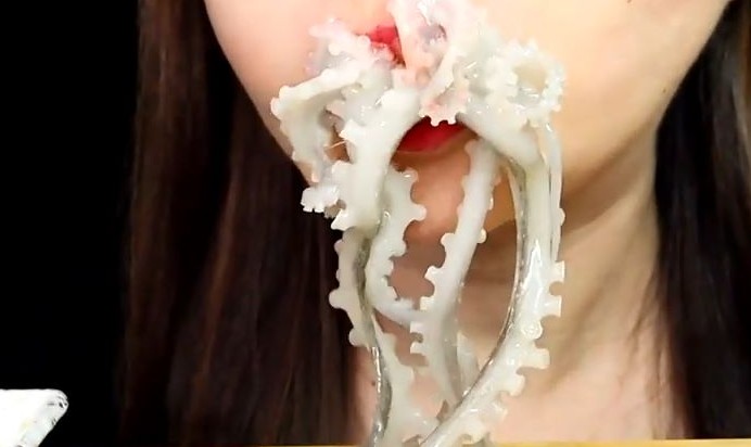 Sognare di mangiare un polpo : 15 scenari e interpretazioni