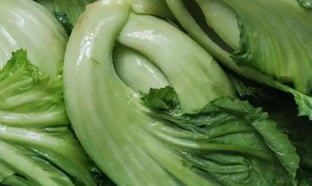 Sognare i crauti : 14 scenari e interpretazioni