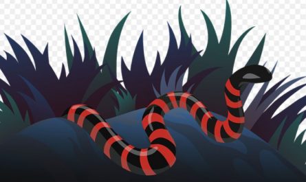 Sognare un serpente rosso : 15 scenari e interpretazioni