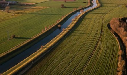 19 Significati Simbolici del Sognare Campi Agricoli