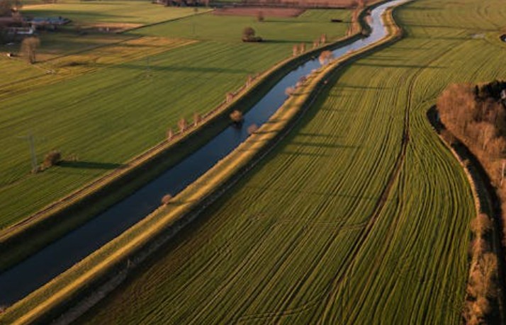 19 Significati Simbolici del Sognare Campi Agricoli