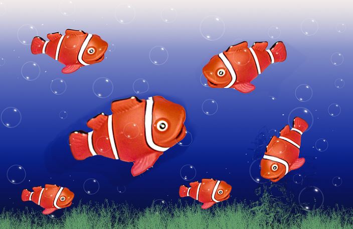 8 Significati Simbolici del Sognare un Pesce Rosso