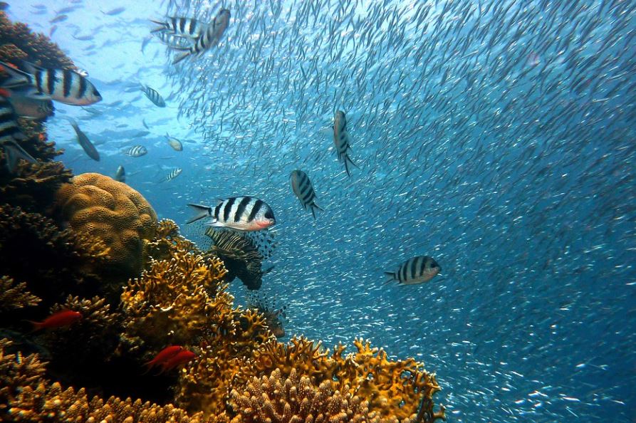 16 Significati Simbolici del Sognare di Pescare in Mare