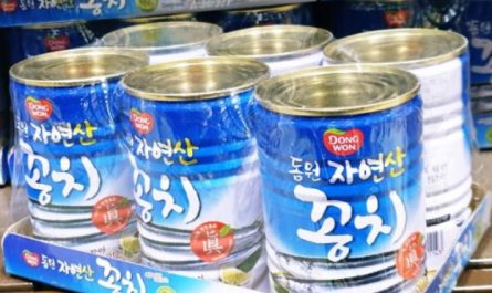 6 significati simbolici del sognare un saury