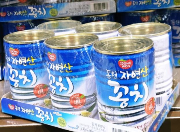 6 significati simbolici del sognare un saury